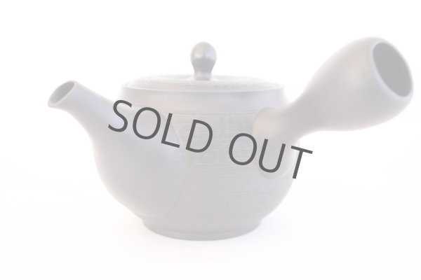 Photo4: Tokoname yaki ware Japanese tea pot Shujyu sen ceramic tea strainer 280ml (4)