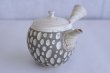 Photo4: Tokoname ware Japanese tea pot kyusu ceramic strainer YT Kenji usumidori 360ml (4)