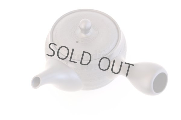 Photo6: Tokoname yaki ware Japanese tea pot Shujyu sen ceramic tea strainer 280ml (6)