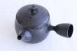 Photo5: Tokoname ware Japanese tea pot kyusu ceramic strainer YT Hokuryu biridashi 360ml (5)