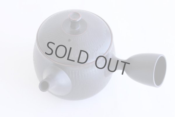 Photo5: Tokoname ware Japanese tea pot kyusu ceramic strainer YT Hokuryu biridashi 360ml (5)