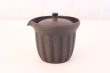 Photo4: Tokoname yaki ware Japanese tea pot Sekiryu cover ceramic tea strainer 170ml (4)