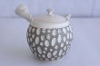 Photo3: Tokoname ware Japanese tea pot kyusu ceramic strainer YT Kenji usumidori 360ml (3)