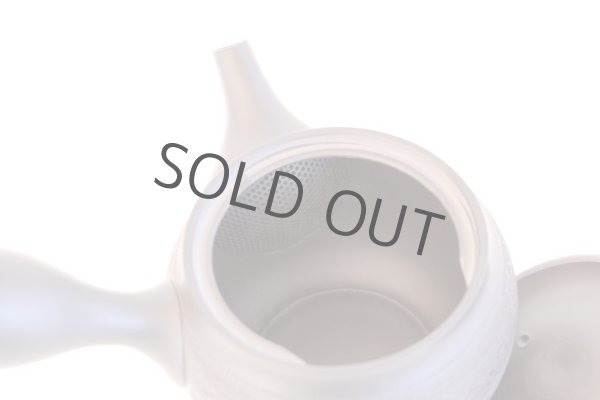 Photo7: Tokoname yaki ware Japanese tea pot Shujyu sen ceramic tea strainer 280ml (7)