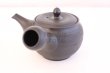 Photo1: Tokoname yaki ware Japanese tea pot Shujyu sen ceramic tea strainer 280ml (1)