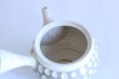 Photo6: Tokoname ware Japanese tea pot kyusu ceramic strainer YT Kenji usumidori 360ml (6)