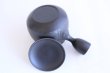 Photo6: Tokoname ware Japanese tea pot kyusu ceramic strainer YT Hokuryu biridashi 360ml (6)