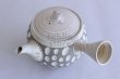 Photo5: Tokoname ware Japanese tea pot kyusu ceramic strainer YT Kenji usumidori 360ml (5)