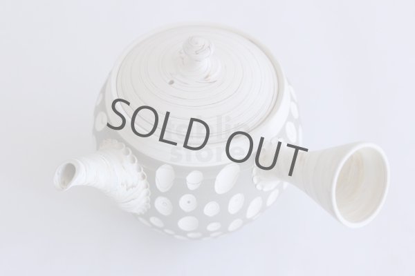 Photo5: Tokoname ware Japanese tea pot kyusu ceramic strainer YT Kenji usumidori 360ml (5)
