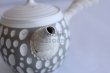 Photo11: Tokoname ware Japanese tea pot kyusu ceramic strainer YT Kenji usumidori 360ml (11)