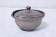 Photo3: Shigaraki pottery Japanese tea pot kyusu Hohin shiboridashi ginryo 120ml (3)
