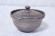Photo4: Shigaraki pottery Japanese tea pot kyusu Hohin shiboridashi ginryo 120ml (4)