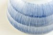 Photo6: Japanese Rice Soup Noodle bowl Mino ware Togusa line blue D146mm H74mm (6)