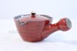 Photo1: Arita yaki ware Akanokoume Japanese tea pot 310ml (1)