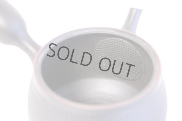 Photo7: Tokoname ware Japanese tea pot kyusu ceramic strainer YT Hokuryu biridashi 360ml (7)