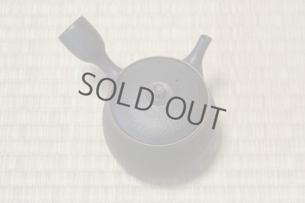 Photo10: Tokoname ware Japanese tea pot kyusu ceramic strainer YT Hokuryu biridashi 360ml (10)