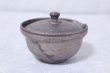 Photo5: Shigaraki pottery Japanese tea pot kyusu Hohin shiboridashi ginryo 120ml (5)