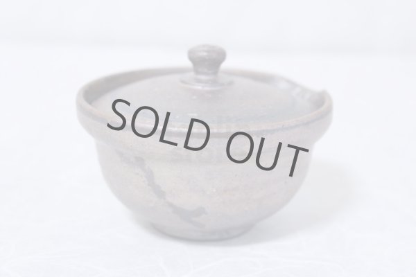 Photo5: Shigaraki pottery Japanese tea pot kyusu Hohin shiboridashi ginryo 120ml (5)