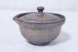 Photo10: Shigaraki pottery Japanese tea pot kyusu Hohin shiboridashi ginryo 120ml (10)