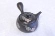 Photo1: Tokoname yaki ware Japanese tea pot Shujyu lf ceramic tea strainear 280ml (1)