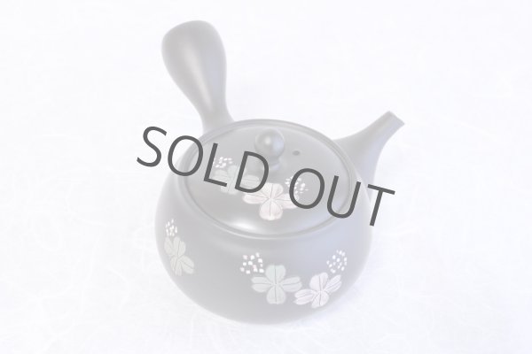 Photo1: Tokoname yaki ware Japanese tea pot Shujyu lf ceramic tea strainear 280ml (1)