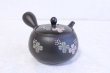 Photo2: Tokoname yaki ware Japanese tea pot Shujyu lf ceramic tea strainear 280ml (2)