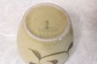 Photo7: Arita porcelain Tea Caddy Japanese tea container karakusa H10.5cm (7)