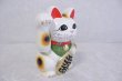 Photo5: Japanese Lucky Cat Tokoname ware YT Porcelain Maneki Neko koban right hand H19cm (5)
