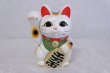Photo8: Japanese Lucky Cat Tokoname ware YT Porcelain Maneki Neko koban right hand H19cm (8)