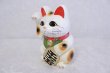 Photo7: Japanese Lucky Cat Tokoname ware YT Porcelain Maneki Neko koban right hand H19cm (7)