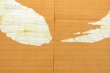 Photo7: Kyoto Noren SB Japanese batik door curtain En Enso Circle mustard 85cm x 150cm (7)