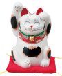 Photo4: Japanese Lucky Cat Kutani Porcelain Maneki Neko mike ryote H18cm (4)