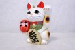 Photo10: Japanese Lucky Cat Tokoname ware YT Maneki Neko Daruma left hand H19cm (10)