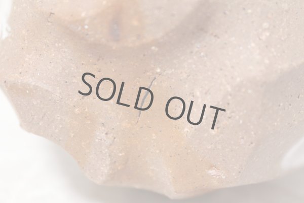 Photo11: Bizen ware pottery Sake bottle reishu white glaze Tomoyuki Oiwa 250ml (11)