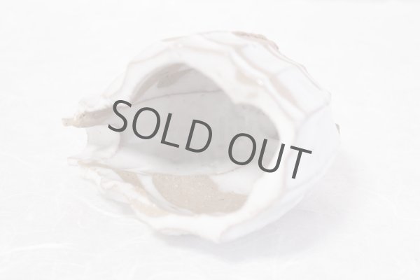 Photo9: Bizen ware pottery Sake bottle reishu white glaze Tomoyuki Oiwa 250ml (9)