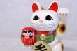 Photo1: Japanese Lucky Cat Tokoname ware YT Maneki Neko Daruma left hand H19cm (1)