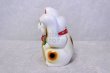 Photo7: Japanese Lucky Cat Tokoname ware YT Maneki Neko Daruma left hand H19cm (7)