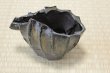 Photo14: Bizen ware pottery Sake bottle reishu gradation glaze Tomoyuki Oiwa 250ml (14)