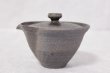 Photo3: Shigaraki pottery Japanese tea pot kyusu Hohin shiboridashi ibushi 150ml (3)