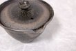Photo5: Shigaraki pottery Japanese tea pot kyusu Hohin shiboridashi ibushi 150ml (5)