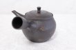Photo3: Tokoname ware Japanese tea pot kyusu ceramic strainer YT Sekiryu tochiri 300ml (3)