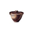 Photo11: Shigaraki pottery Japanese tea pot kyusu Hohin shiboridashi ibushi 150ml (11)