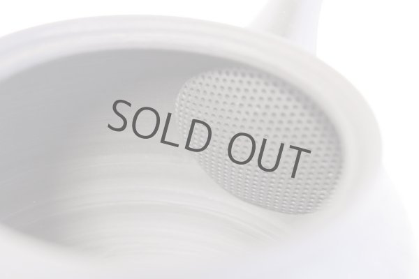 Photo10: Tokoname ware Japanese tea pot kyusu ceramic strainer YT Sekiryu tochiri 300ml (10)