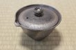 Photo2: Shigaraki pottery Japanese tea pot kyusu Hohin shiboridashi ibushi 150ml (2)