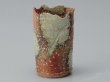 Photo12: Shigaraki Japanese pottery Vase small tokoshigaraki  H 11cm  (12)