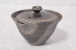 Photo4: Shigaraki pottery Japanese tea pot kyusu Hohin shiboridashi ibushi 150ml (4)