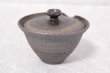 Photo10: Shigaraki pottery Japanese tea pot kyusu Hohin shiboridashi ibushi 150ml (10)