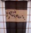 Photo4: Noren Mitsuru Japanese linen door curtain Kakishibu Trichosanthes 88 x 150cm (4)