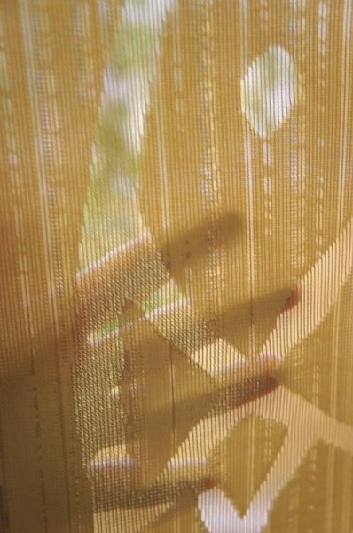 Photo2: Noren CSMO Japanese door curtain Anti-inflammatory Fish 85 x 150cm (2)