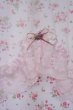 Photo2: Noren CSMO Japanese door curtain Fancy Flower white x pink 85 x 150cm (2)
